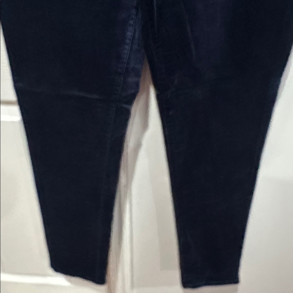 Mariner Skinny Pants in Velvet Size 27 - Picture 5 of 8